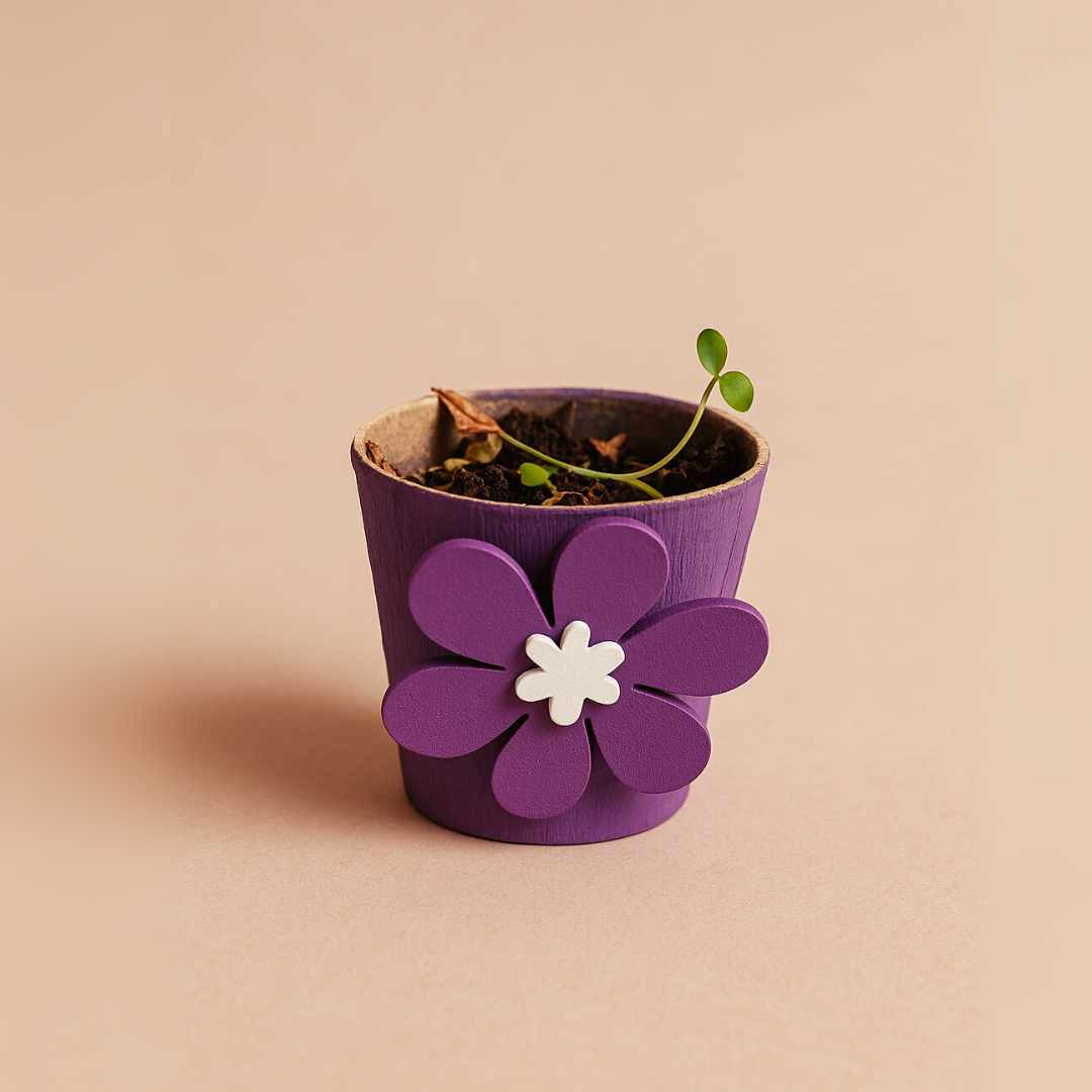 De verdwenen sterren van Twinkelrijk Bibi de Bloemenfee